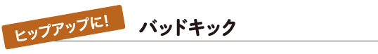 ヒップアップに！バッドキック