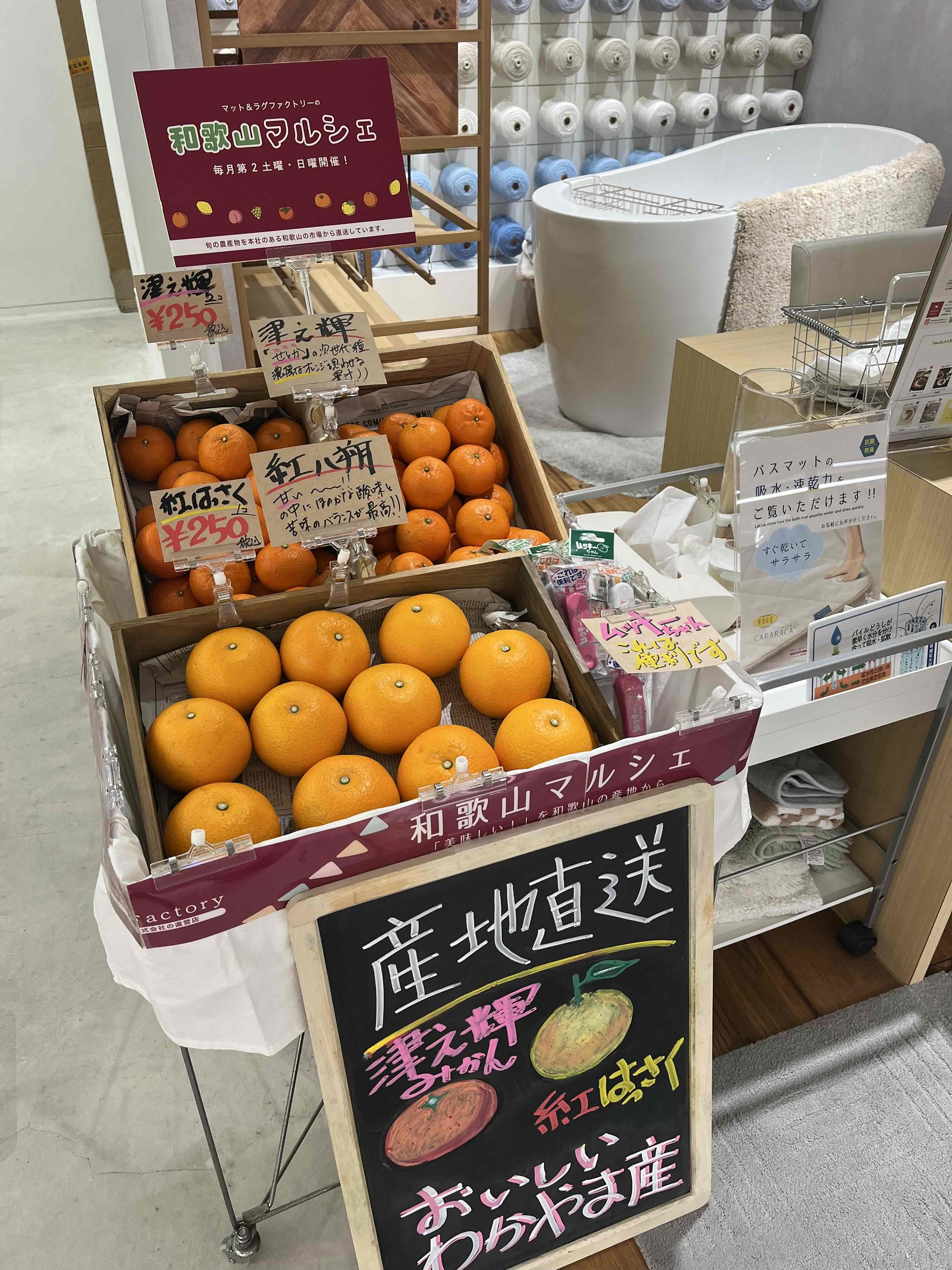 和歌山マルシェの様子3